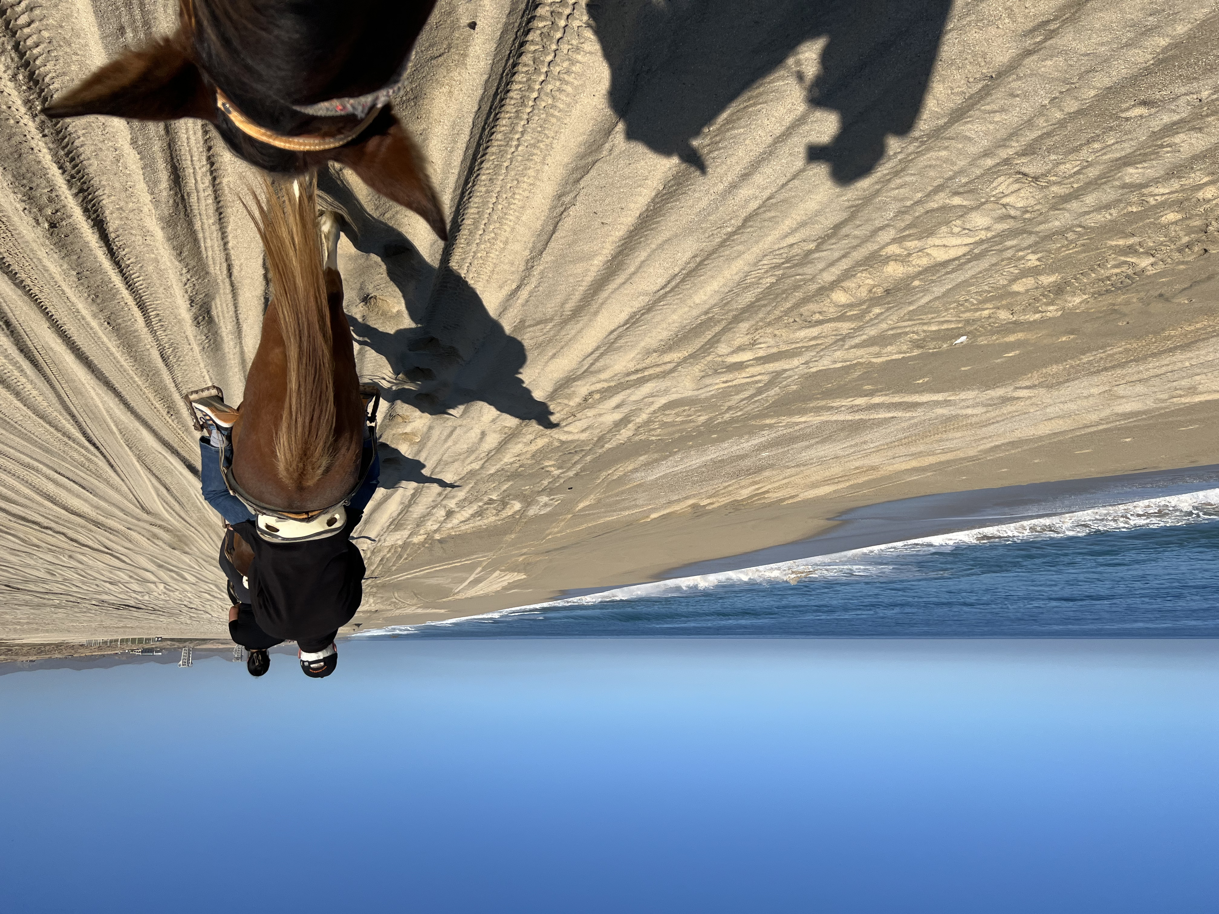 ./2024/13 - Cabo/IMG_4424.jpg